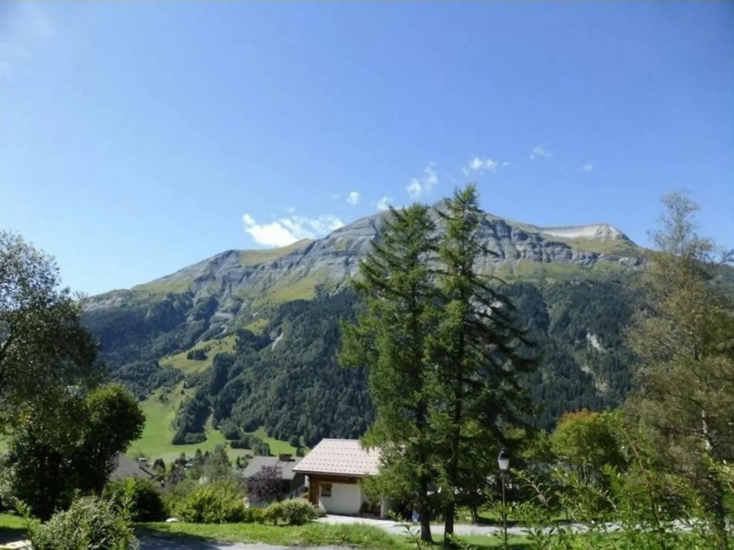 Le Lièvre Blanc, appartement N°2 Les Contamines-Montjoie